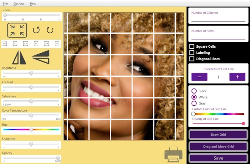 Grid drawing tool that places grid over image