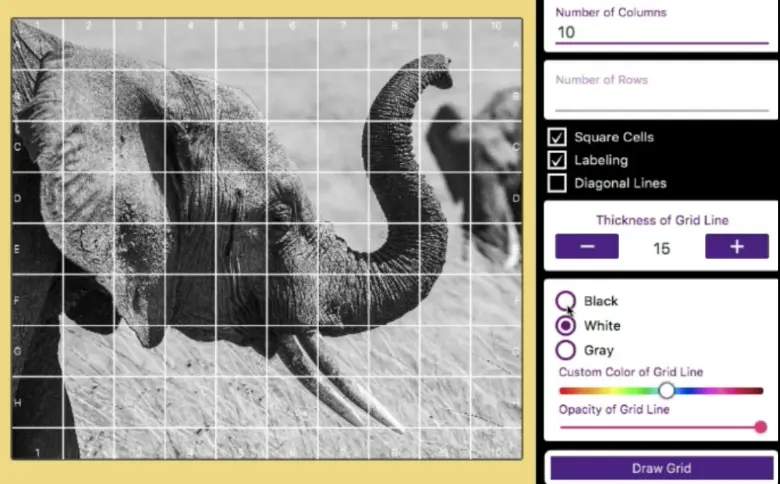 grid color Grid overlay for picture grey black white