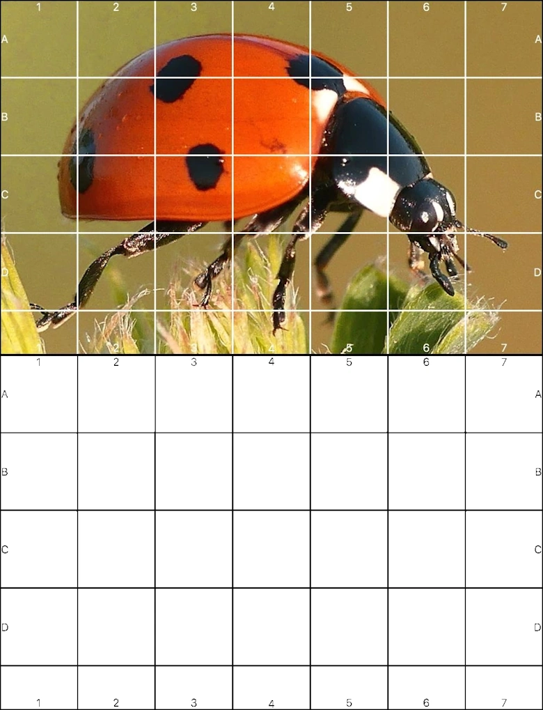 how to use grid method draw grid lines on paper proportional
