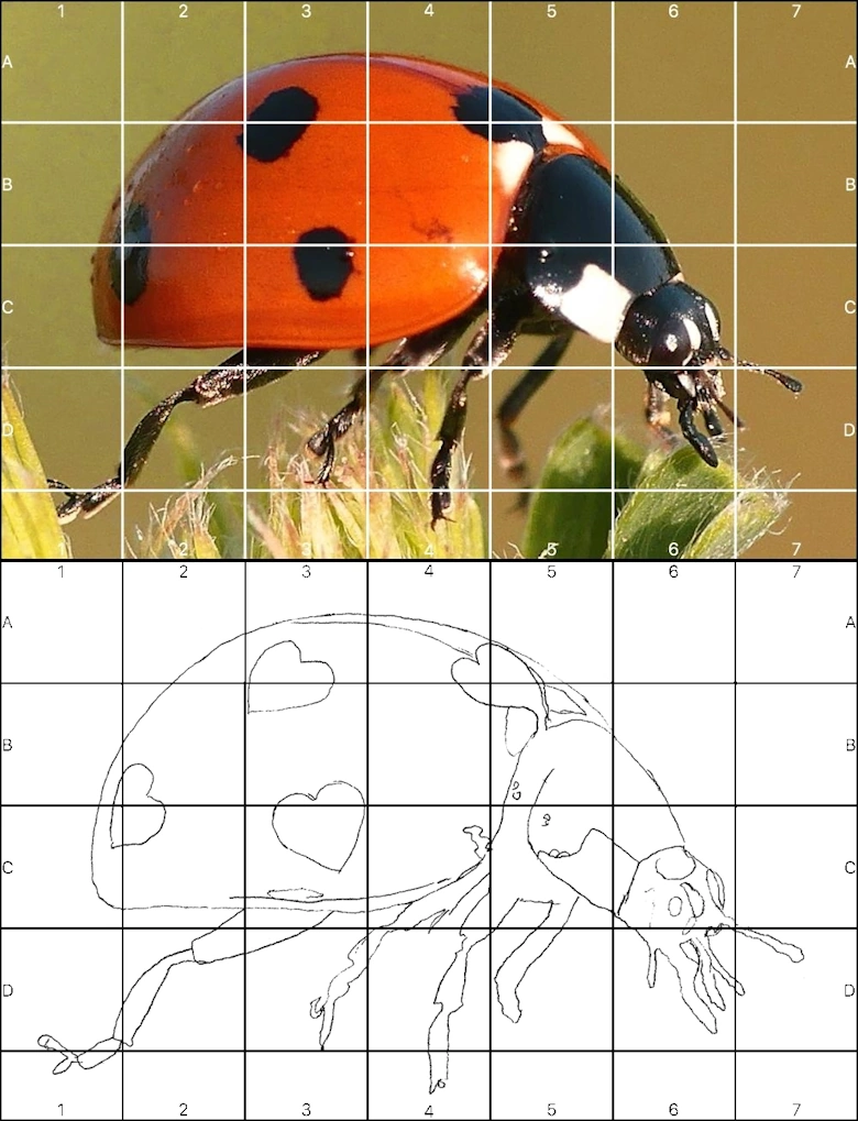 realistic sketch grid lines gridding tool draw proportions